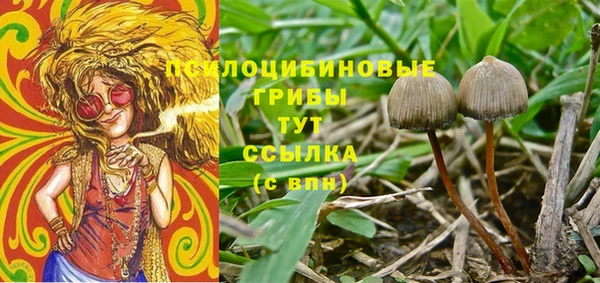 спиды Волосово