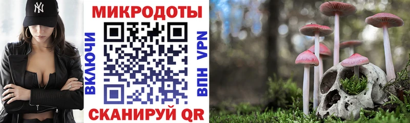Галлюциногенные грибы мухоморы  где купить   Брюховецкая 