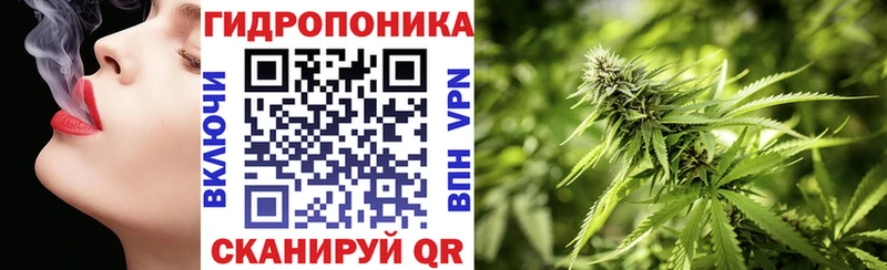 omg ссылка  Брюховецкая  МАРИХУАНА сатива 